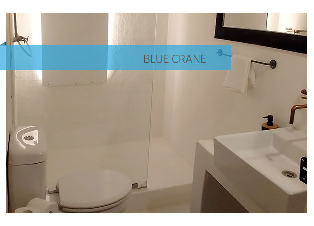 Blue Crane